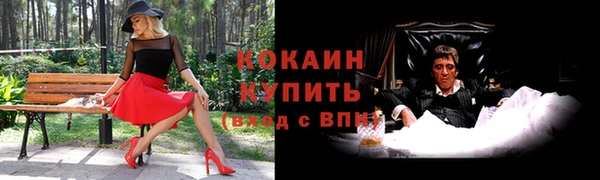 гидра Абаза