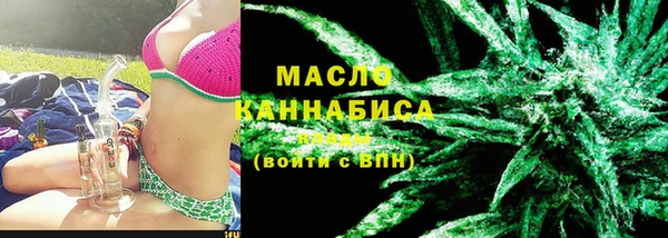 гидра Абаза