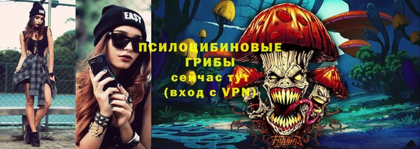 гидра Абаза