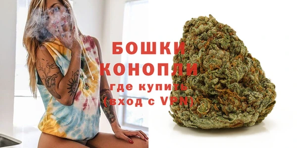 гидра Абаза