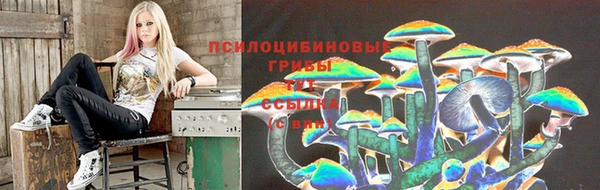 гидра Абаза