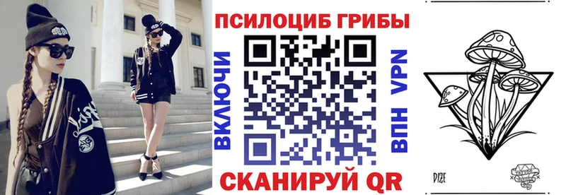 MEGA онион Вилюйск Псилоцибиновые грибы Psilocybe